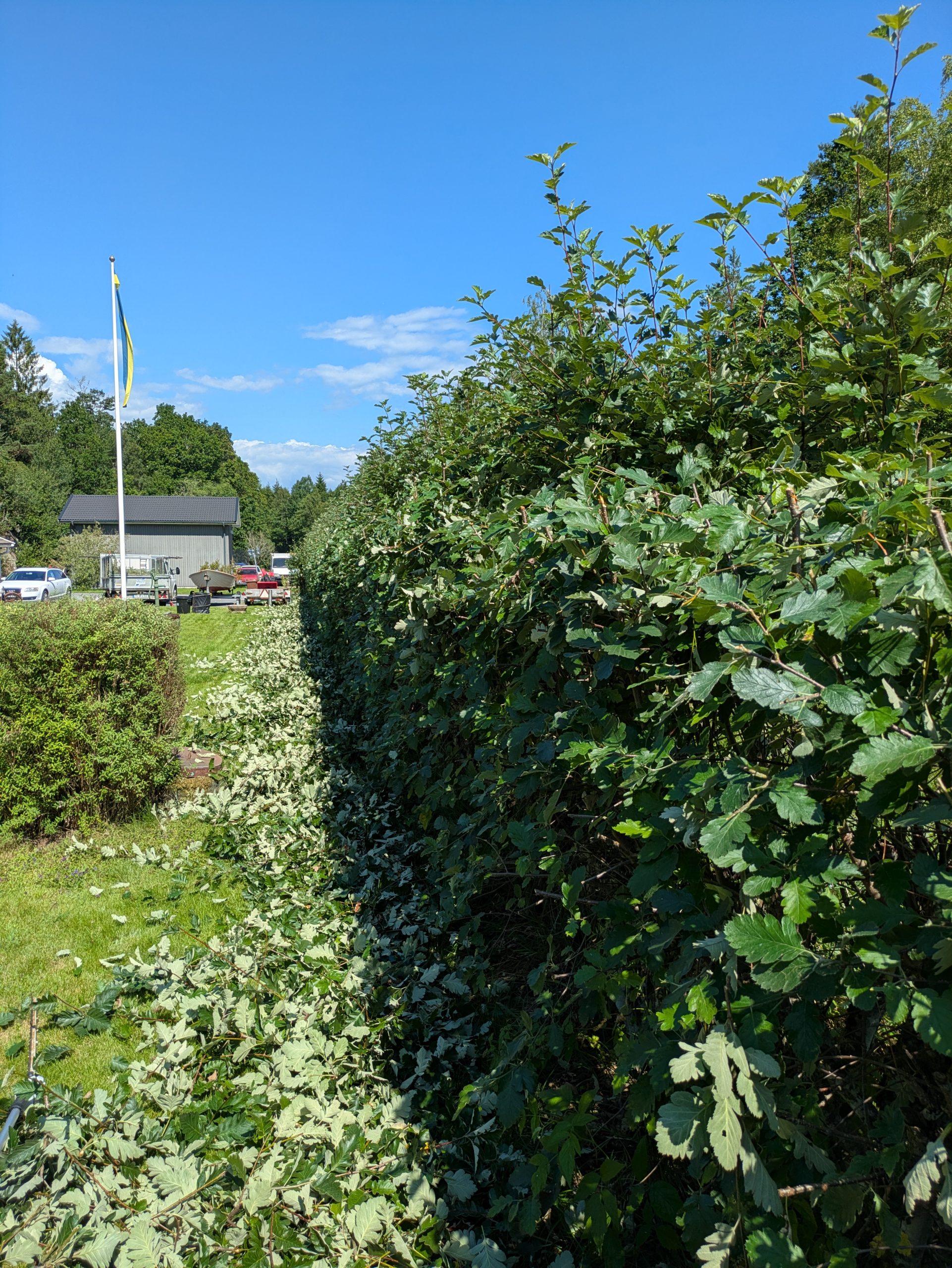 PXL_20250710_122833987